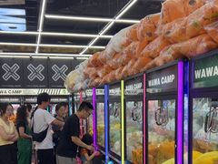 -娃娃集合营(上海奉贤龙湖天街店)