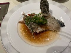 -利苑酒家(华熙国际店)