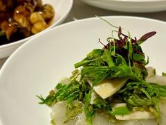 -南麓·浙里(外滩店)