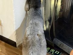 -沏点Trattoria意大利餐厅(新街口店)