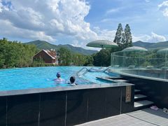 -紫藤园·天目湖大鱼头(南山竹海店)