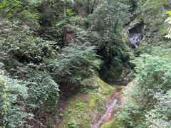 -牛背梁国家森林公园