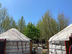 -九十九顶毡房(阜石路店)