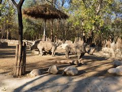 -北京野生动物园