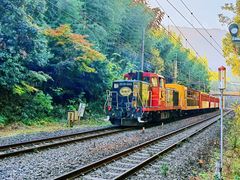 -岚山嵯峨野观光小火车
