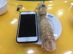 -春园海鲜广场D区6号(钟姐海鲜加工店)