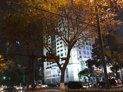 -1点点(环城北路店)