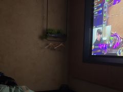 -新紫霞养生·影院足道·SPA(金山区店)