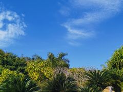 -三亚南山文化旅游区