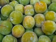 青红李-水果天空(东葛店)