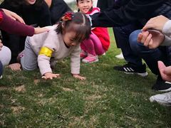 -迪茵湖田家舍生态农场