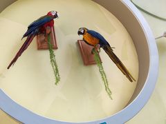 -陕西自然博物馆