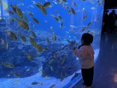 -海合安成都极地海洋公园