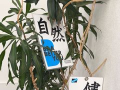 -Blueglass酸奶(上生新所店)