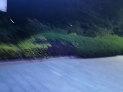 -滨河世纪广场公园