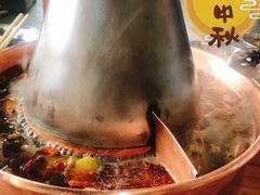 -东镇老火锅(长春路首店)