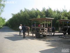 -山沟沟景区