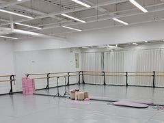 -中央芭蕾舞团·中芭艺蕾(酒仙桥明星校区)