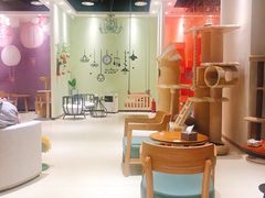 -藏猫猫咖啡主题馆(中央大道店)