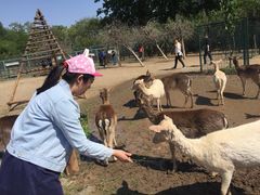 -北京麋鹿生态实验中心