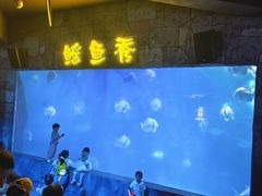 -合肥海洋世界