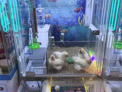 -天虹购物中心(深圳龙华店)