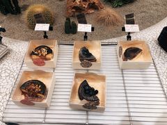 -OUR Bakery(SKP-S店)