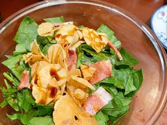 菠菜沙拉-樱の花亭日本料理店