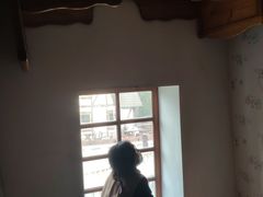 -金山农民画村-枫泾波兰倒置屋