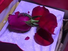 -布歌东京(金融街购物中心店)