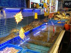 水产区-必点海鲜·鲅鱼水饺(鞍山西道店)