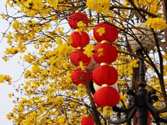 -洲头咀公园