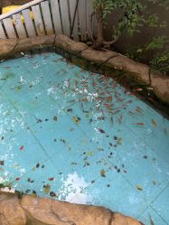 -可可天空农场(中大店)