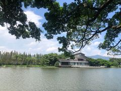 -江心屿景区