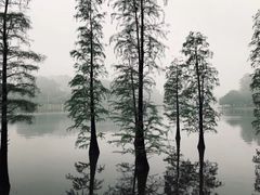 -南国桃园旅游度假区