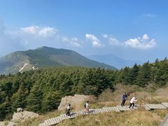 -白草畔自然风景区