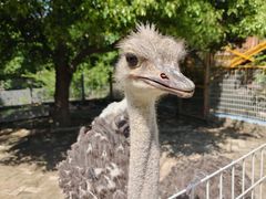 -武汉紫薇都市田园