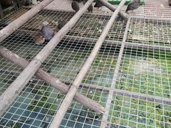 -洪湖家庭农场·团建·露营·会议
