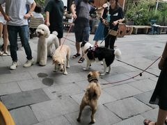 -RAC BAR(安福路店)