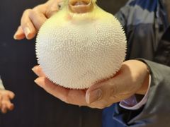 -永安鱼庄·镇江菜(东吴路店)