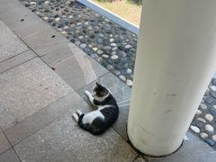 -厦门国家会计学院