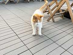 -前叁門