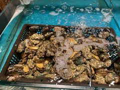 -阳光岛·海鲜盛宴(银泰中心in99店)
