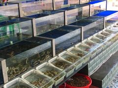 -常家活海鲜小吃(仅一家无分店)