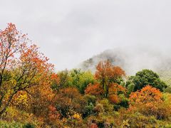 -塔川景区