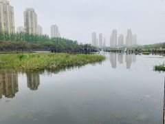 -前关湿地公园