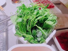 -海底捞火锅(天津SM城市广场店)