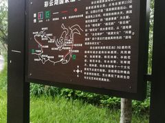 -重庆彩云湖湿地公园