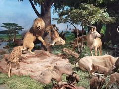 -国家自然博物馆