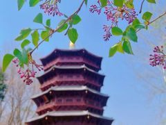 -北京世界公园